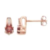 Gemminded 10k Rose Gold Garnet & Diamond Accent Drop Earrings 1 Gemminded 10k Rose Gold Garnet & Diamond Accent Drop Earrings -Gemminded Jewelry 2862982